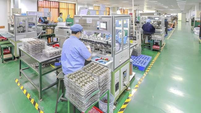 China Panda Global Industries Co., Limited Perfil da companhia