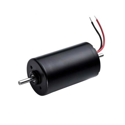 Motor sem escovas de 28 mm com motor integrado 8W 12V 24V Motor BLDC de alta potência