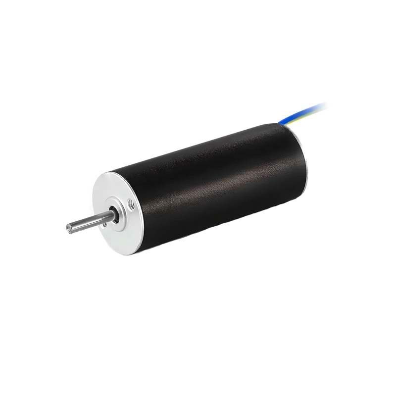 Motor sem escova e sem escova personalizado 12mm 6.5W 25310rpm Motor DC sem núcleo para bombas médicas