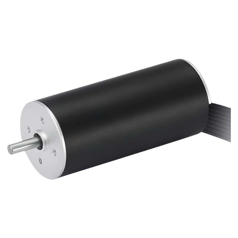 Motor de alta velocidade de 22 mm sem ranhuras sem escovas 48V Motor BLDC sem núcleo 22W 13641rpm