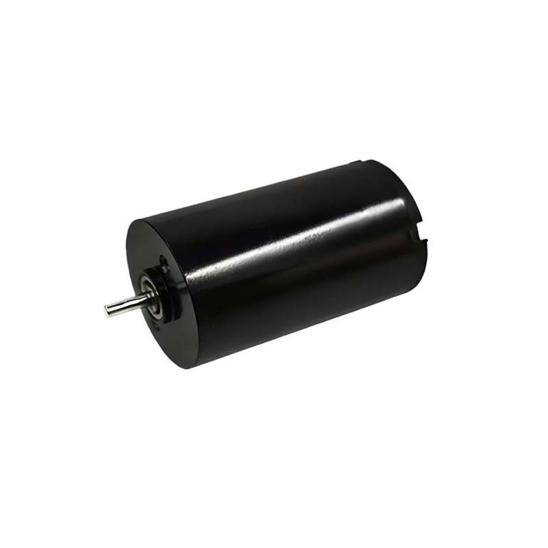 16mm motor de corrente contínua escovado 1,57 Watt 9980rpm motor de corrente contínua de escova elétrica 24V personalizável