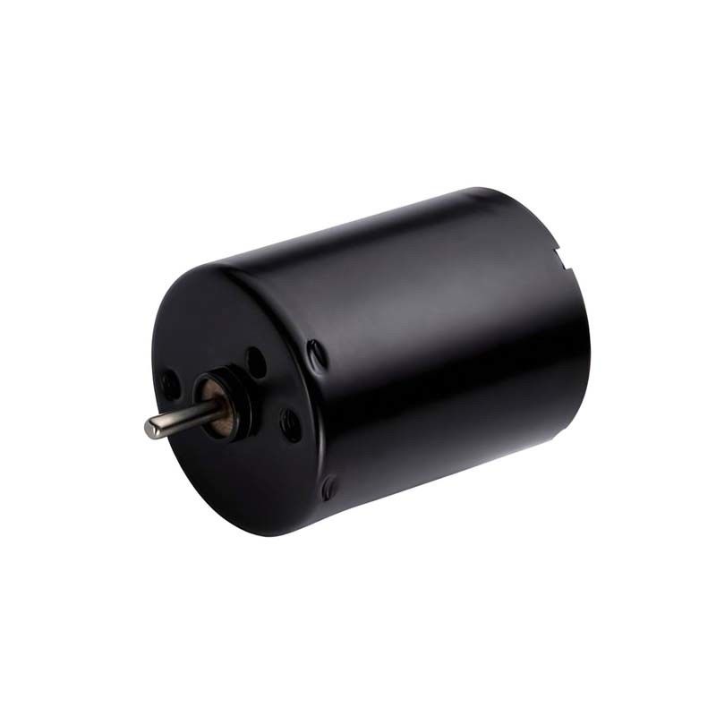 Motor elétrico sem escovas de 24 mm com motor integrado 5.4W 12V 24V Capacidade RPM alta