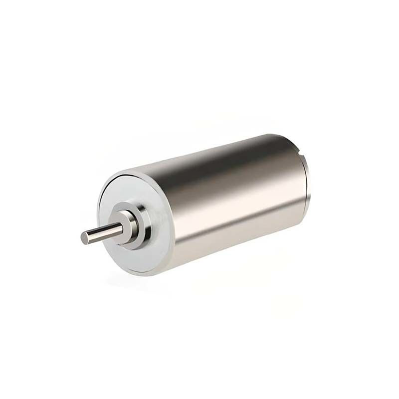 Motor DC borrifado à prova de corrosão de 13 mm 1,32mNm 8400rpm Motor DC de ímã permanente de 3 V