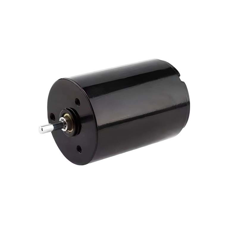 Motor de escova de carbono de controle fácil Micro 22mm 3.61 Watt 6900rpm 36V personalizável